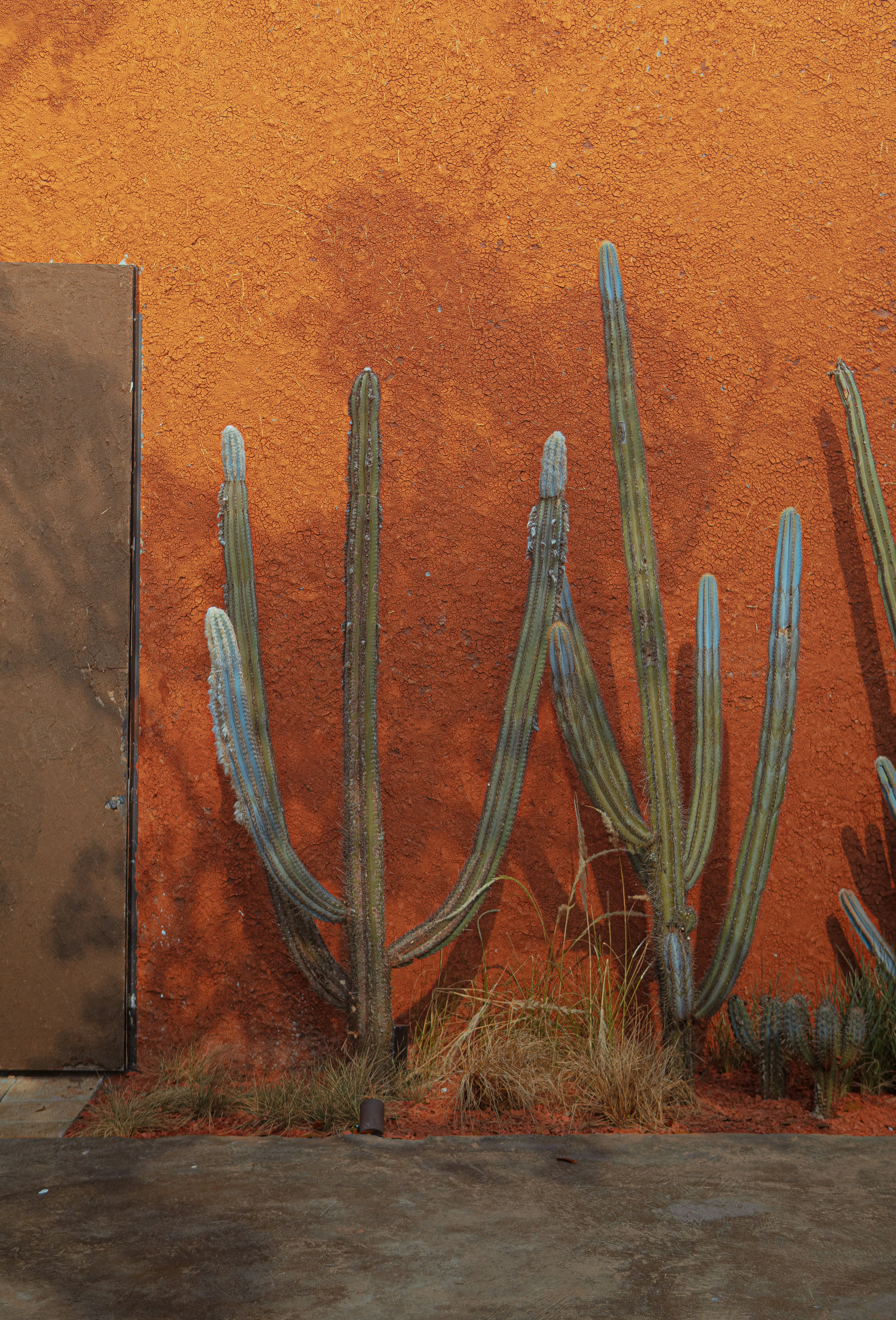 Photo by glaubersampaio