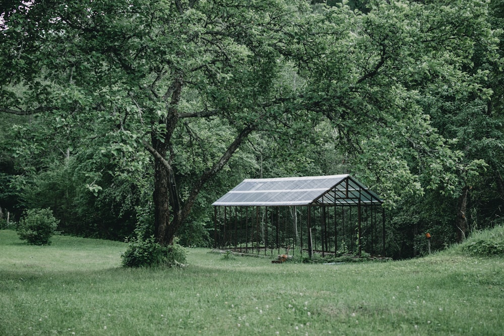 black and white shed near trees