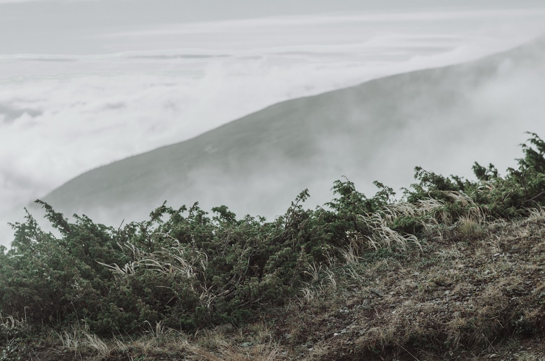 mist covered hills in horizon