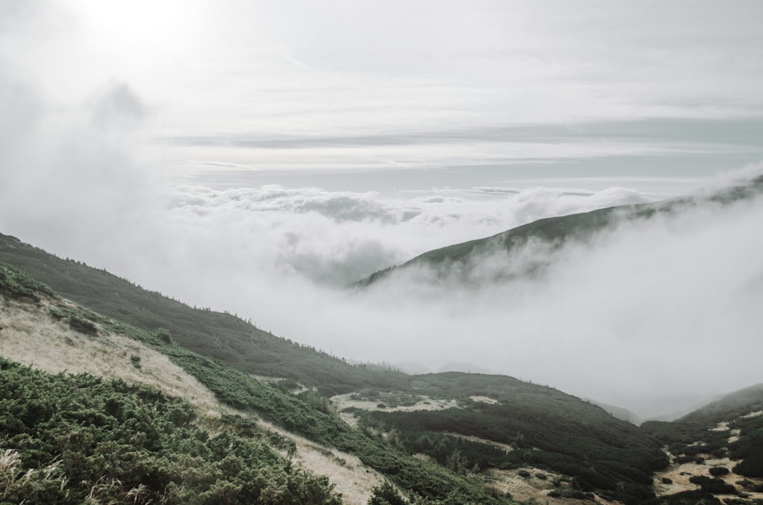 mountain covered with fogs