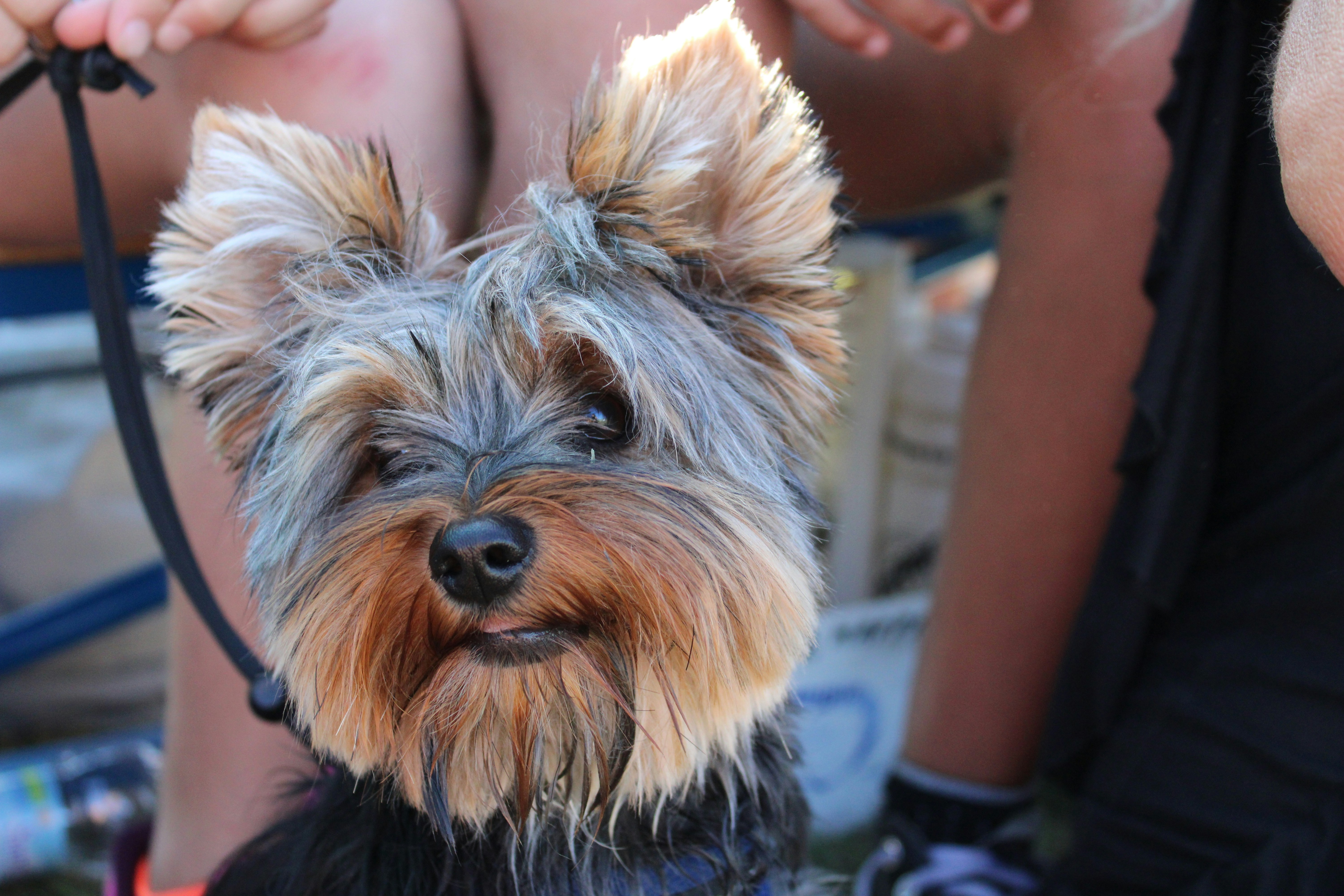 Photo by cippicippiphoto