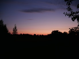 A serene sunset with a gradient sky transitioning from dark blue at the top to soft orange near the horizon. The scene features silhouettes of trees and foliage in the foreground and background. The overall atmosphere is calm and peaceful.