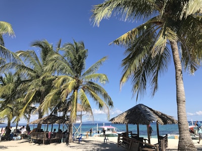 A vibrant tropical beach scene with tall palm trees swaying in the breeze. Groups of people are gathered under thatched-roof huts, enjoying the shade. Clear blue skies and turquoise ocean water create a picturesque setting. Wooden benches and tables are placed under the huts, offering a space for relaxation.