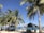 A vibrant tropical beach scene with tall palm trees swaying in the breeze. Groups of people are gathered under thatched-roof huts, enjoying the shade. Clear blue skies and turquoise ocean water create a picturesque setting. Wooden benches and tables are placed under the huts, offering a space for relaxation.