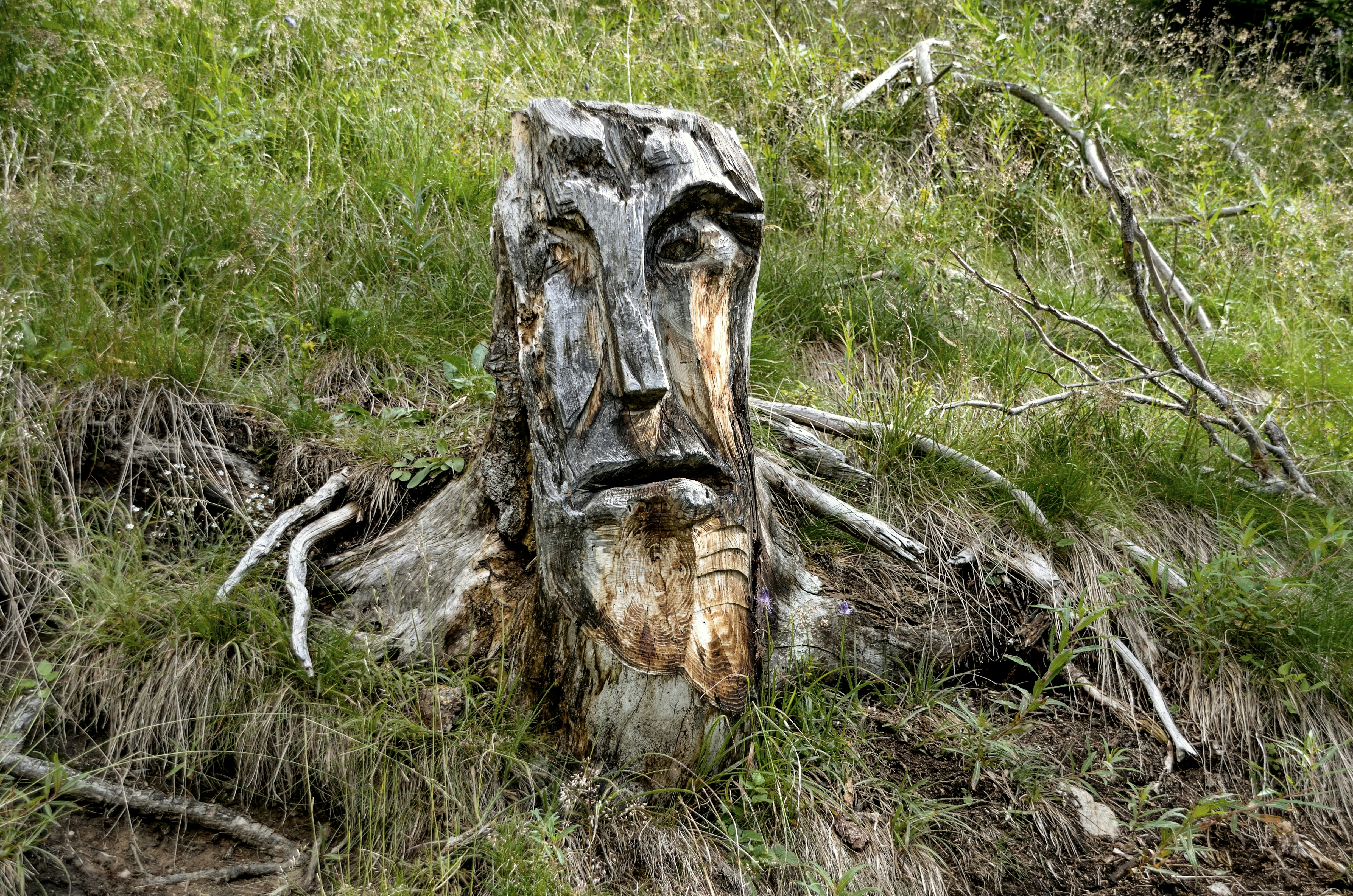 gray drift wood