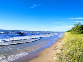 sea beside grass field
