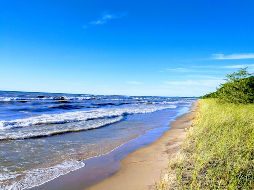 sea beside grass field