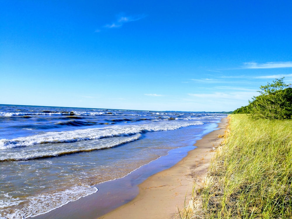 sea beside grass field