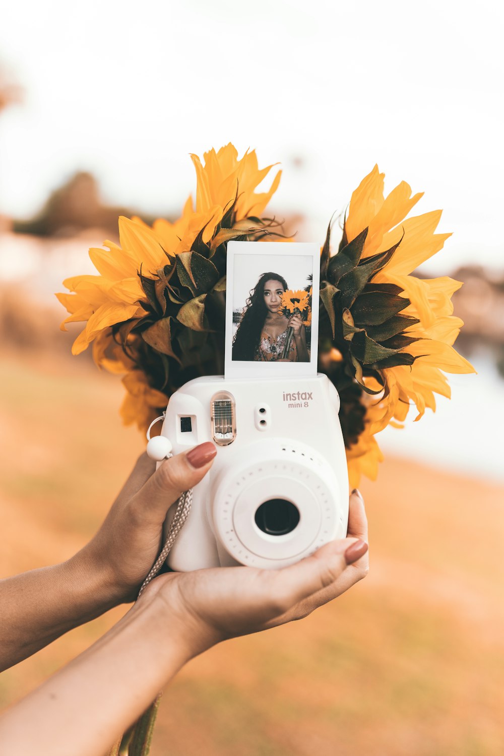 camera and sunflowers
