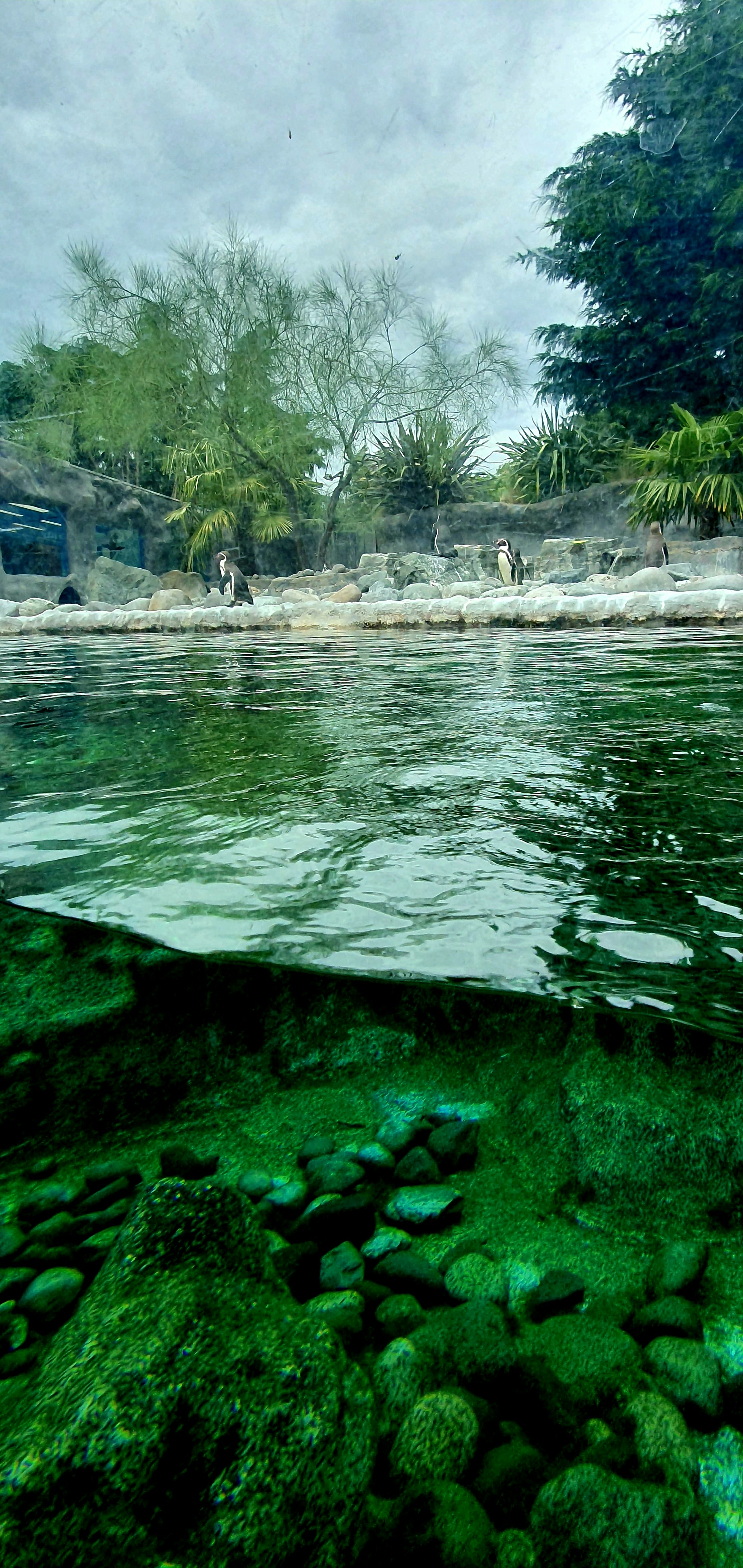 Dubai Aquarium & Underwater Zoo photo 3