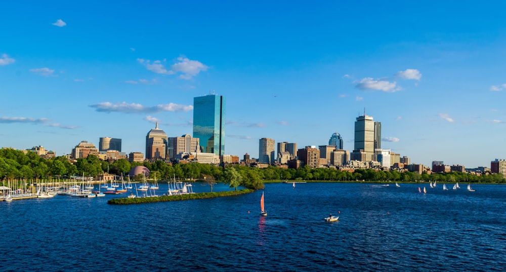 city skyline under clear blue sky during daytime