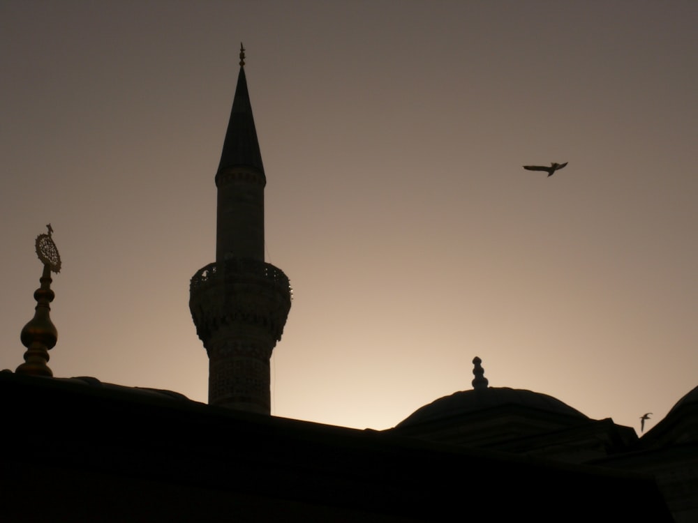 bird flying above building with tower