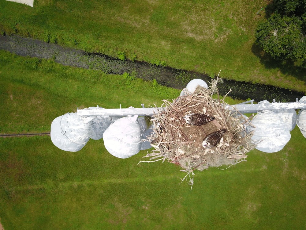 top view of a brown bird's nest