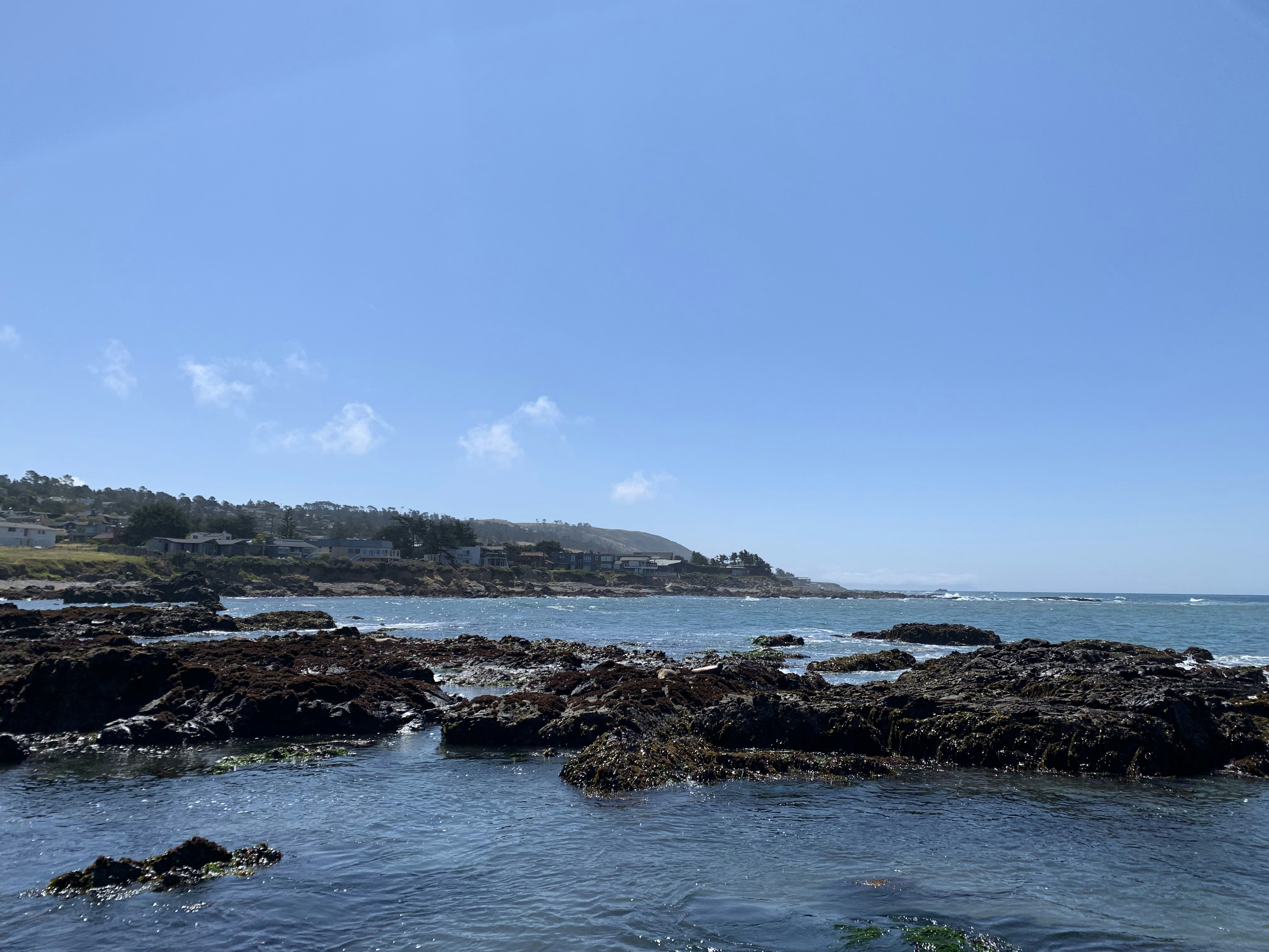 Photo by la_ferrari10