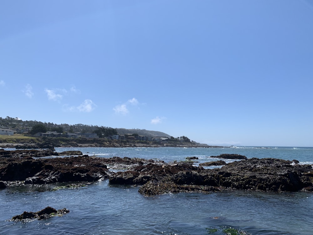 landscape photo of a rocky beach