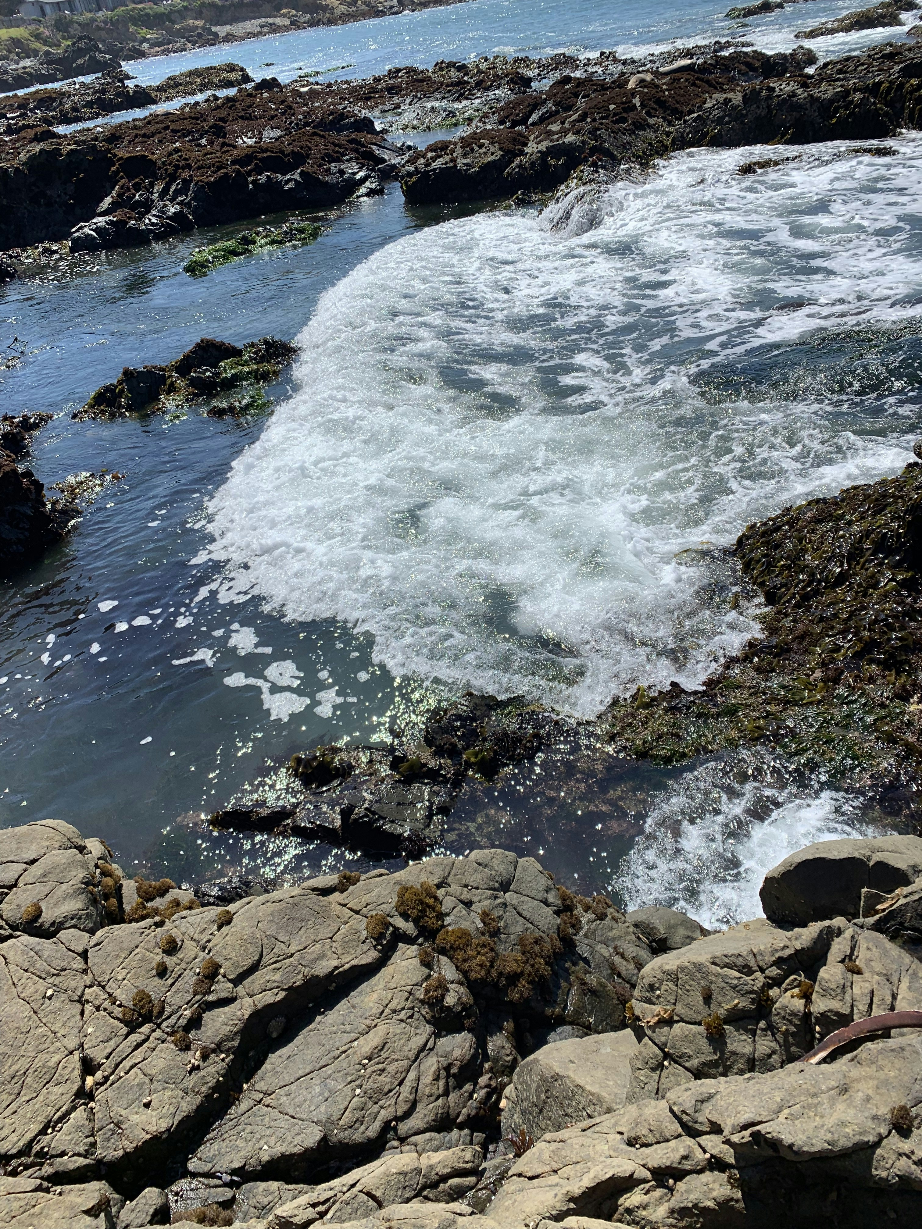 les vagues qui s’écrasent sur les rochers du rivage