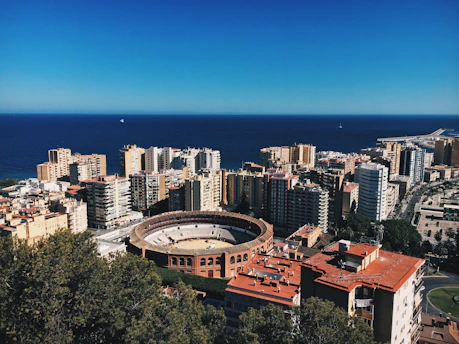 high-angle photography of stadium surrounded by high-rise building