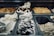 A variety of gelato flavors are arranged in metal containers at a gelato shop. The selection includes creamy white flavors with chocolate drizzle and various nut toppings.