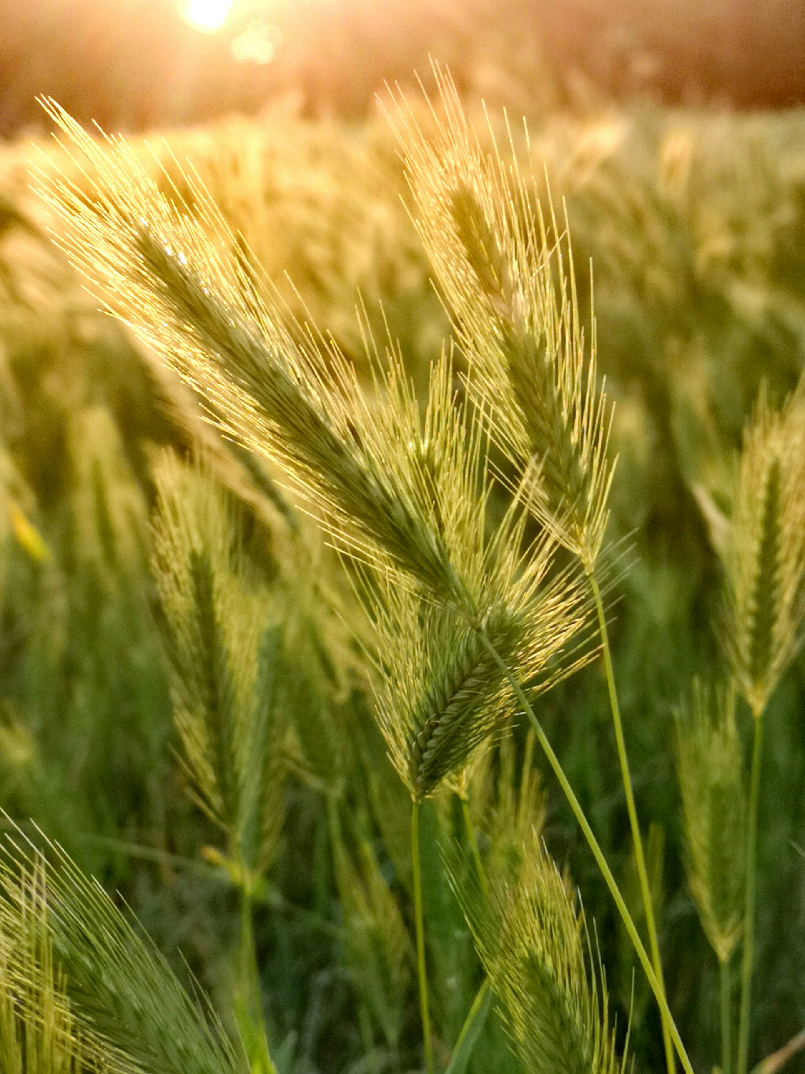 Photo by anandziorek