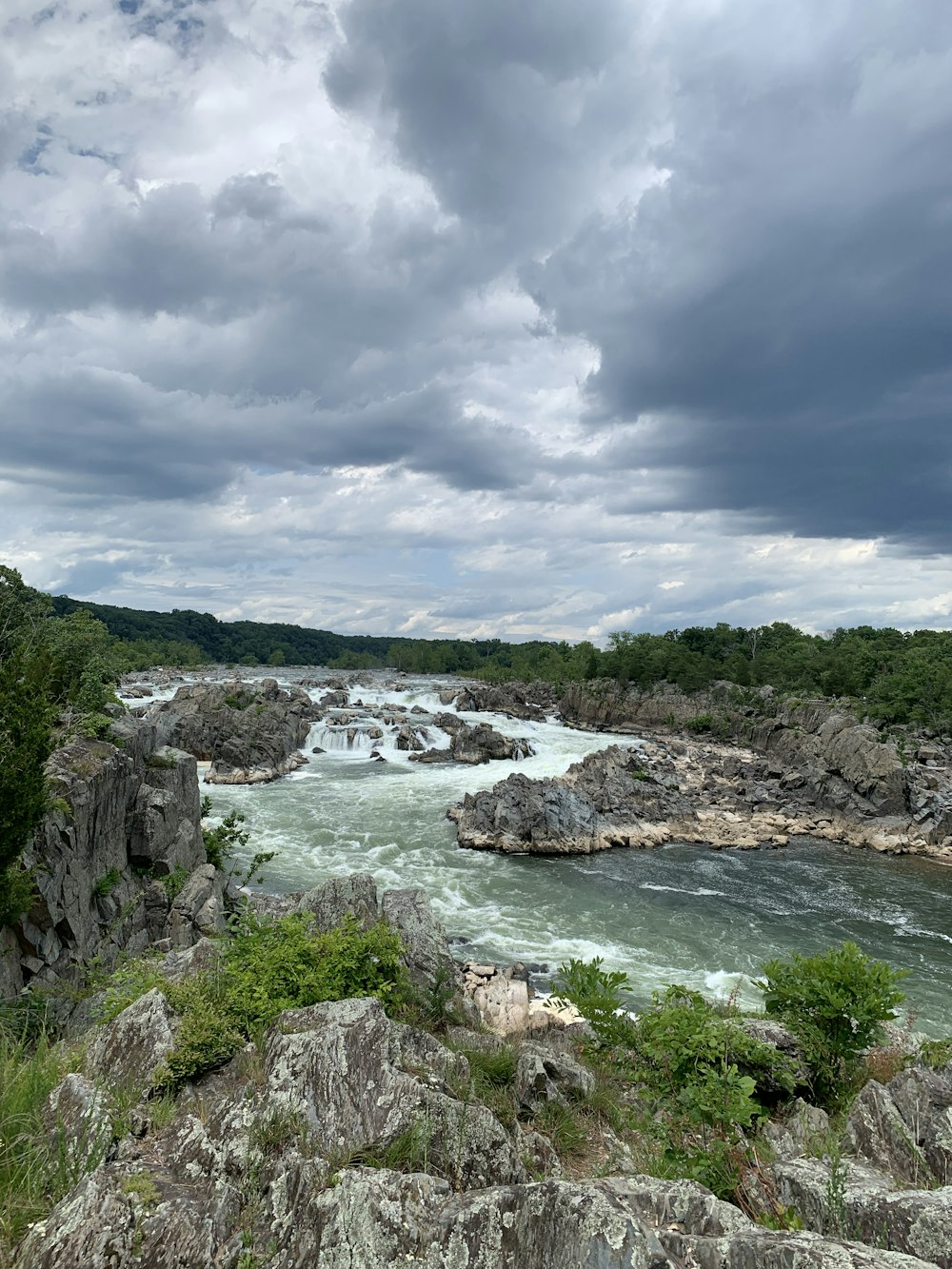 río entre los árboles