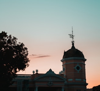 pink and brown domed building