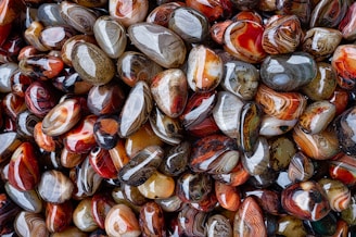 An assortment of polished and colorful agate stones, displaying a range of intricate patterns and swirls. The stones vary in color, with shades of red, brown, gray, and orange prominently featured. Their smooth, glossy surfaces reflect light, enhancing their vibrant appearance.