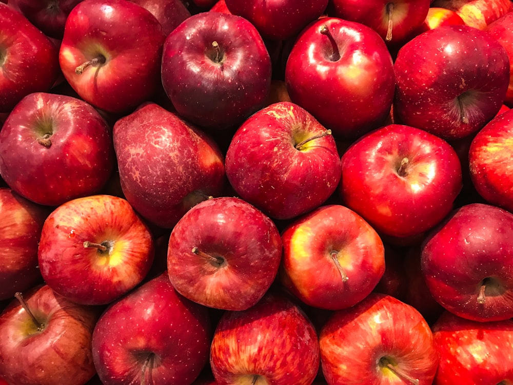 bouquet de pommes rouges