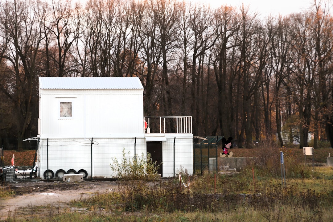 white shed beside leafless trees