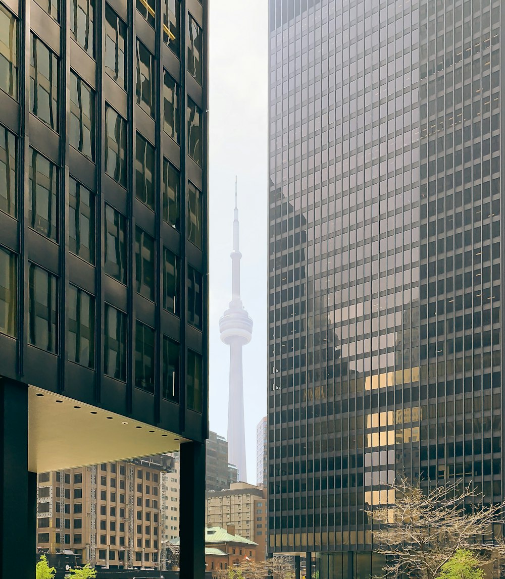 grey curtain building during daytime