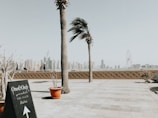 Palm trees sway gently in the breeze against a backdrop of Dubai's impressive skyline, featuring multiple skyscrapers and the iconic Ferris wheel. A blackboard sign stands in the foreground with the text 'One&Only, The Palm, Dubai', directing visitors. Potted plants and a paved patio area add to the urban, coastal atmosphere.