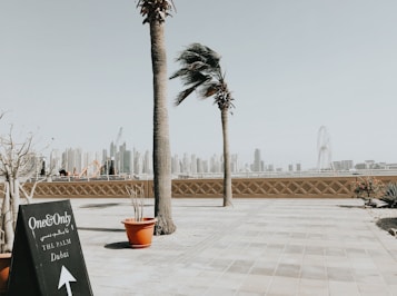 Palm trees sway gently in the breeze against a backdrop of Dubai's impressive skyline, featuring multiple skyscrapers and the iconic Ferris wheel. A blackboard sign stands in the foreground with the text 'One&Only, The Palm, Dubai', directing visitors. Potted plants and a paved patio area add to the urban, coastal atmosphere.