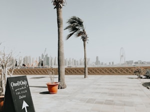Palm trees sway gently in the breeze against a backdrop of Dubai's impressive skyline, featuring multiple skyscrapers and the iconic Ferris wheel. A blackboard sign stands in the foreground with the text 'One&Only, The Palm, Dubai', directing visitors. Potted plants and a paved patio area add to the urban, coastal atmosphere.