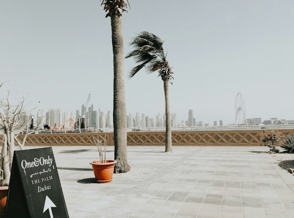 Dubai Beyond the Skyline: A Guide to the City’s Character and Culture