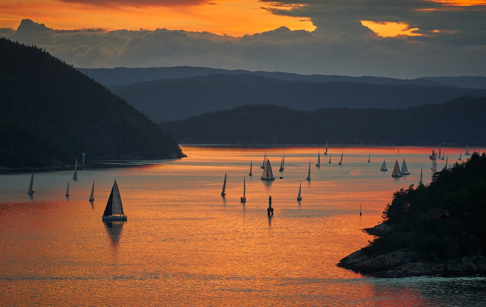 sail boats on body of water during daytie
