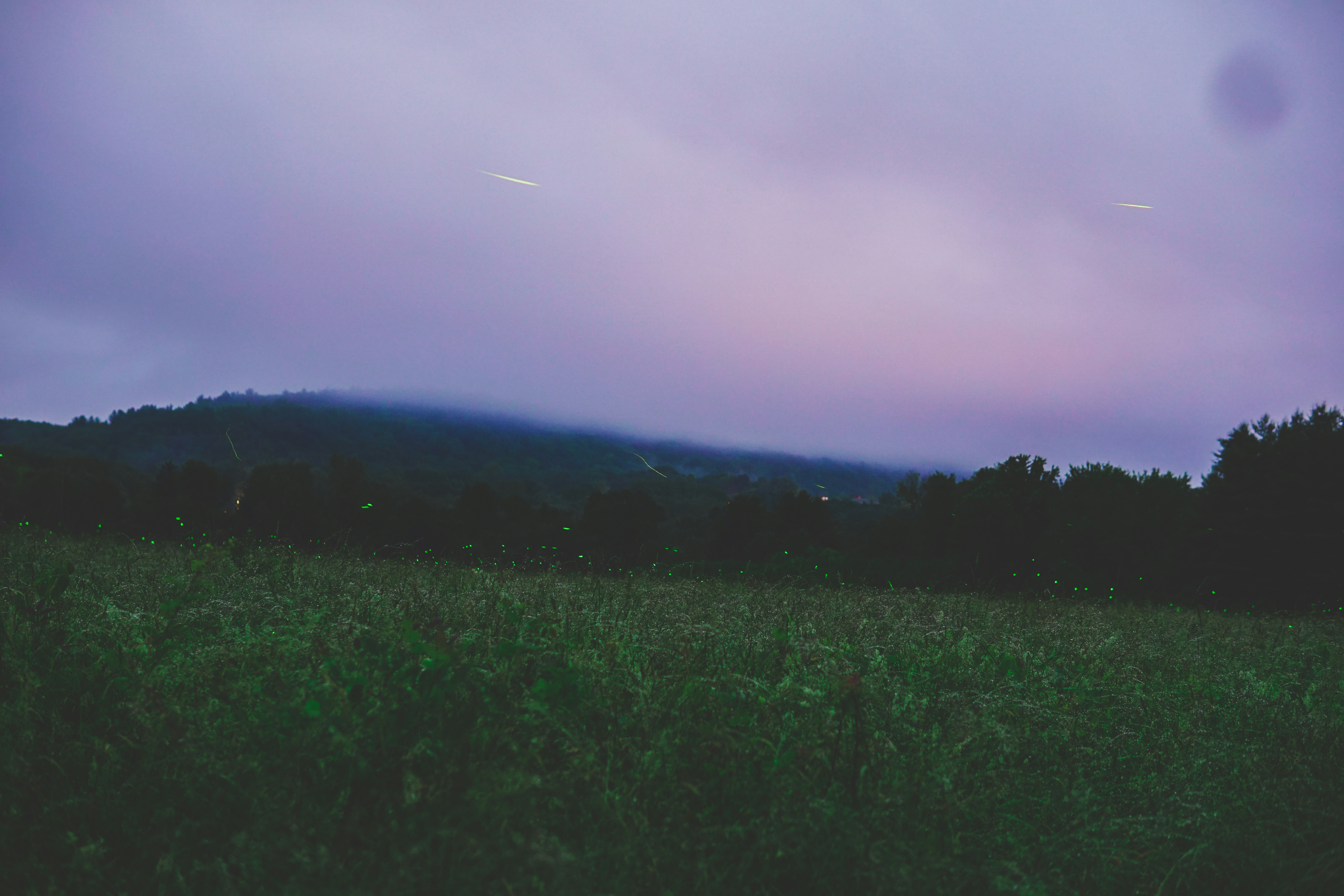 Photo by directedbyshawn