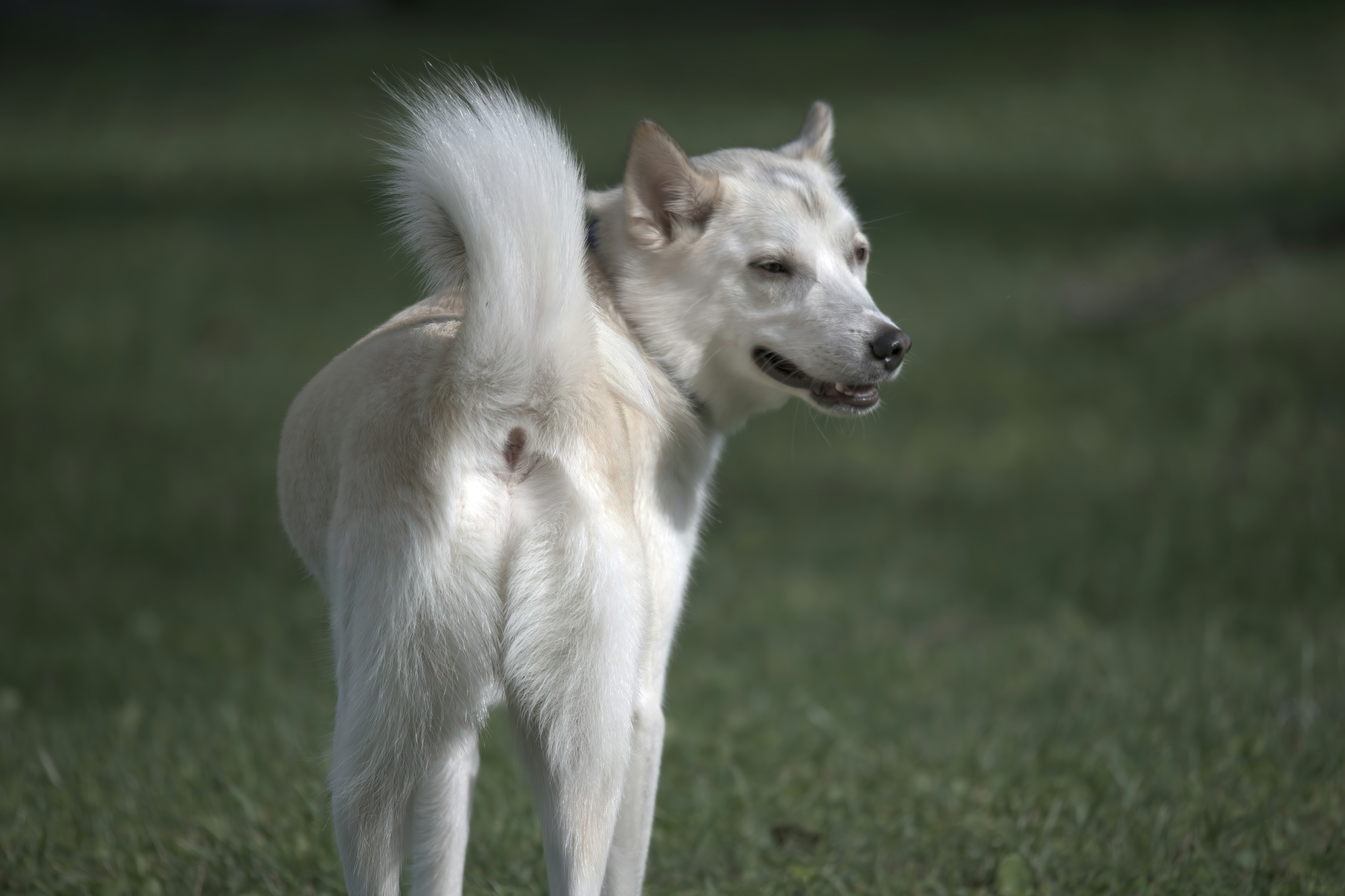 Photo by malibuskiboats