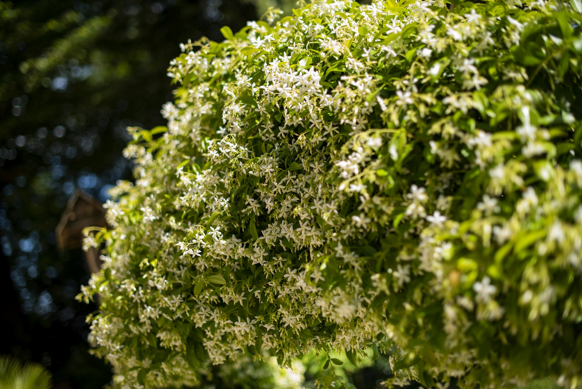 gray computer monitor