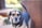A medium-sized dog with a short coat, featuring tan and black coloring. It has a slightly droopy expression with big, soulful eyes and a visible collar with tags. The background is blurred, showing hints of greenery and a brown structure.