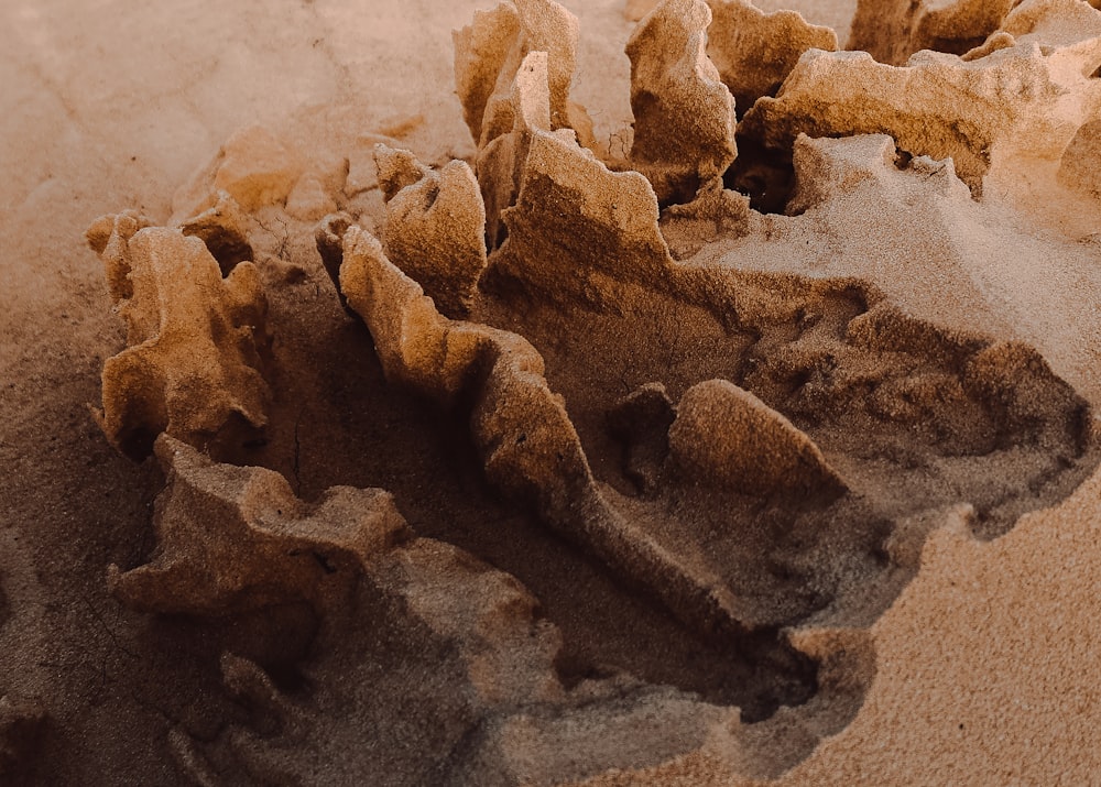 a close up of rocks and sand on a beach