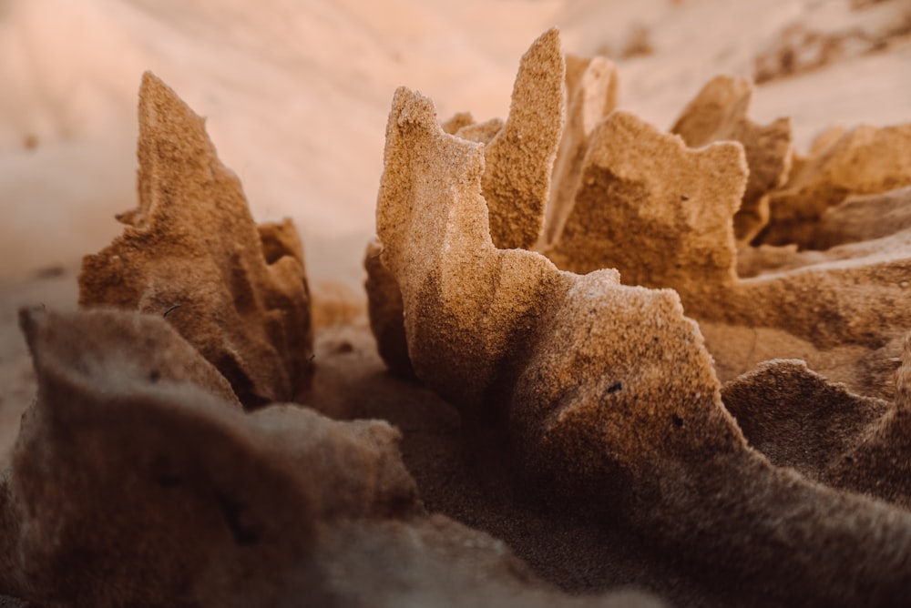 a close up of a rock formation in the sand