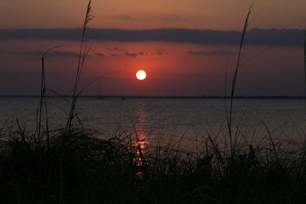 blue water during sunet