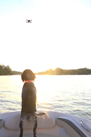 A dog walker capturing joyful moments of dogs with a drone camera over Staten Island's waterfront.