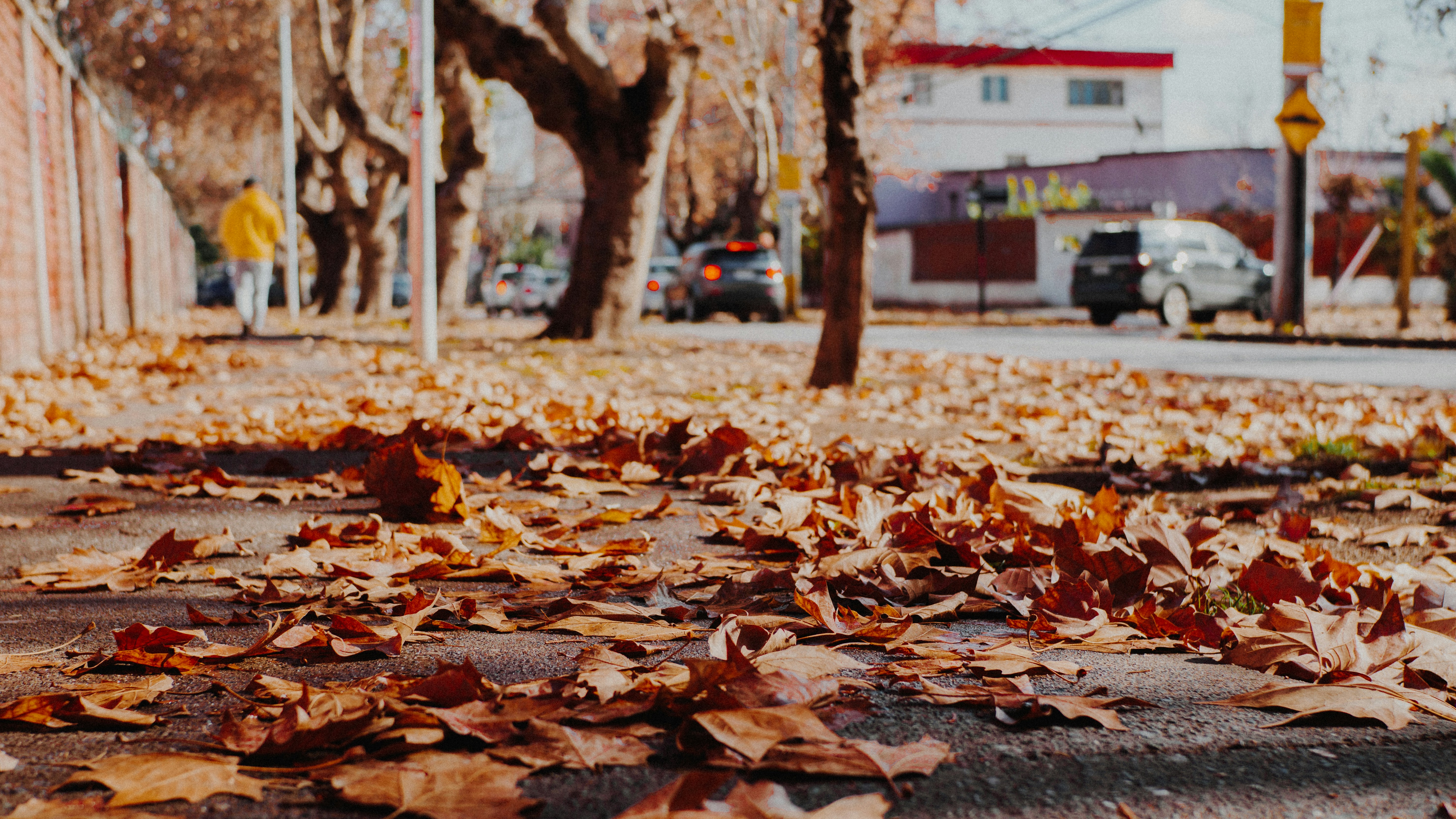 Photo by villxsmil