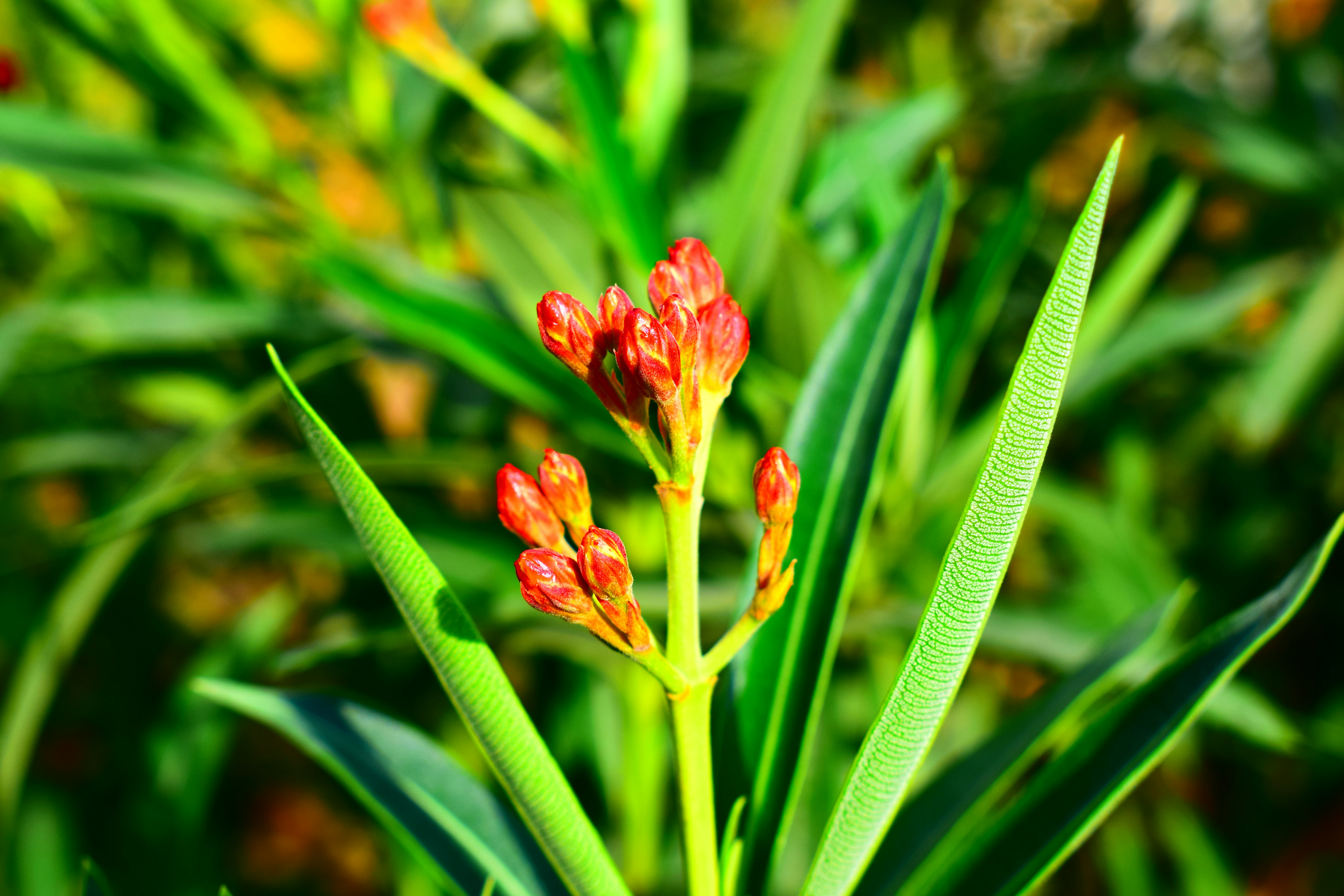 Photo by iu_unsplash