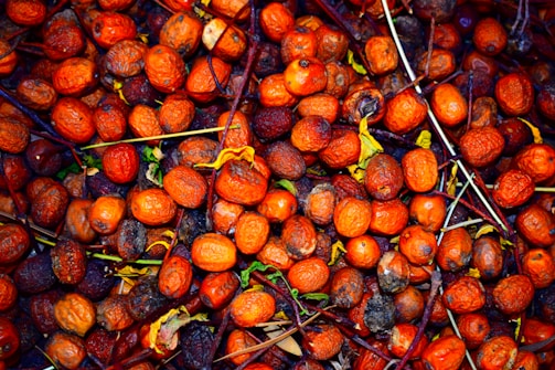 A pile of small, round, shriveled fruits with a mix of orange and brown hues. Thin dry stems and sparse green leaves are interspersed throughout the collection. The fruits appear to be dried or aging, creating a textured and rustic appearance.