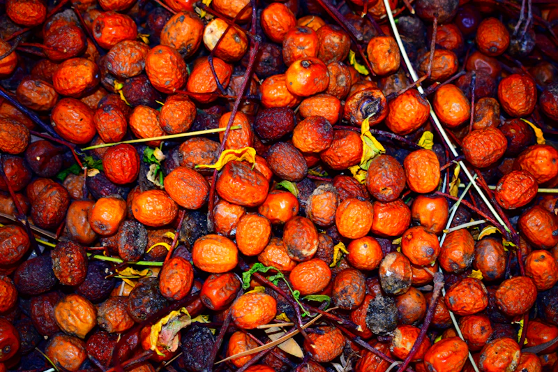 Palm oil environment