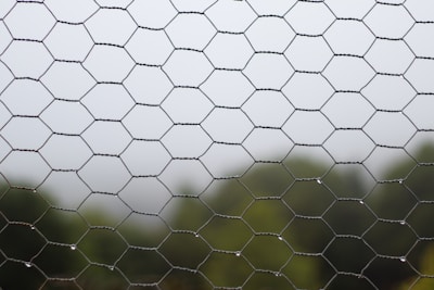 A close-up view of a wire netting with hexagonal patterns, possibly used for fencing, with blurred green foliage and a foggy gray sky in the background.