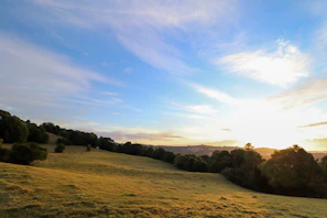 A serene sunset view over the rolling fields and wooded areas surrounding the estate