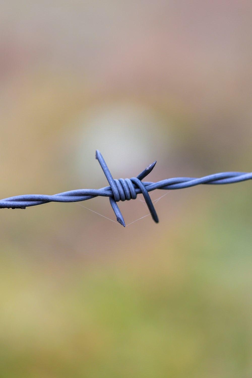 black barbed wire