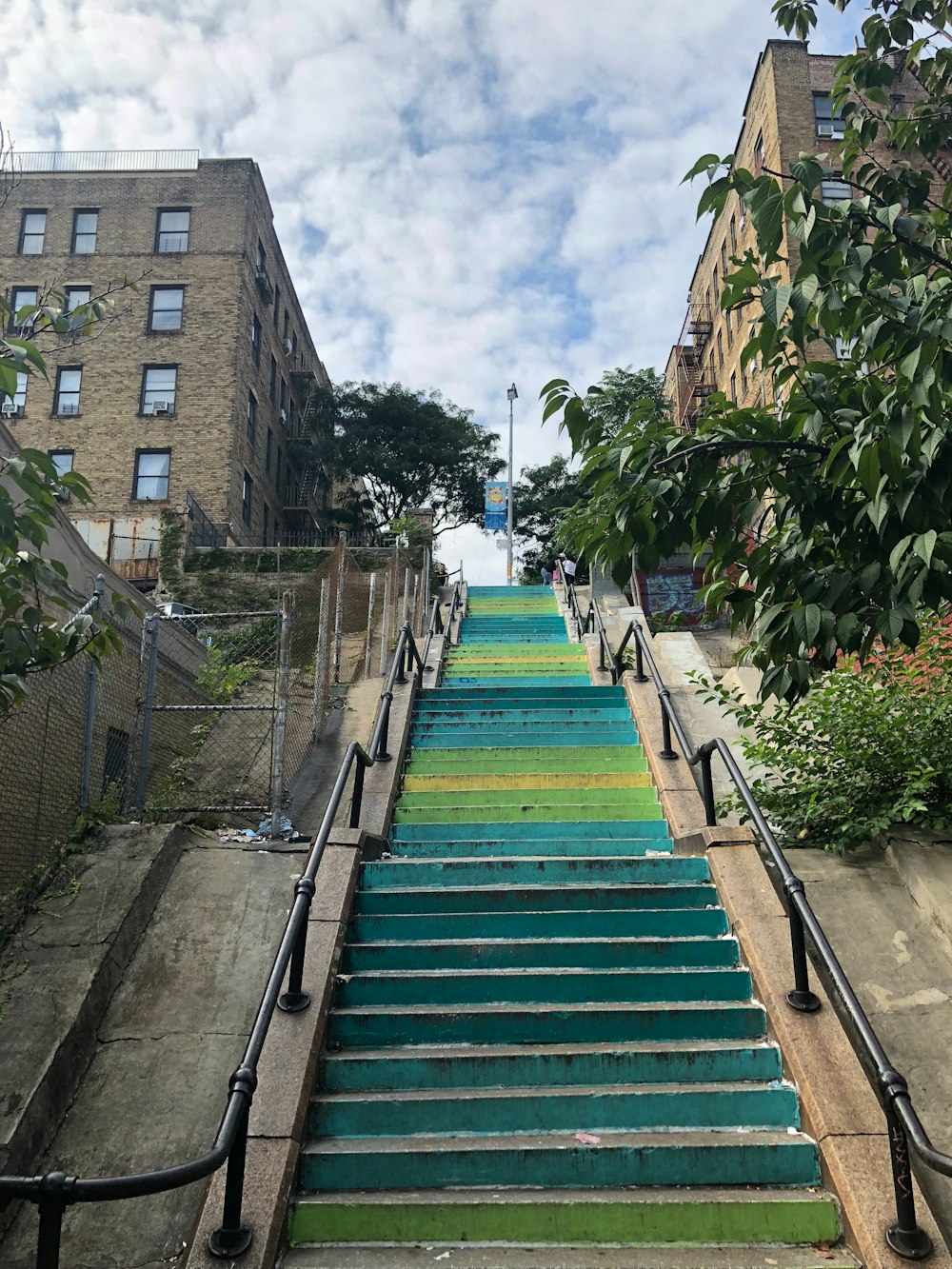 teal and green staircase near plant